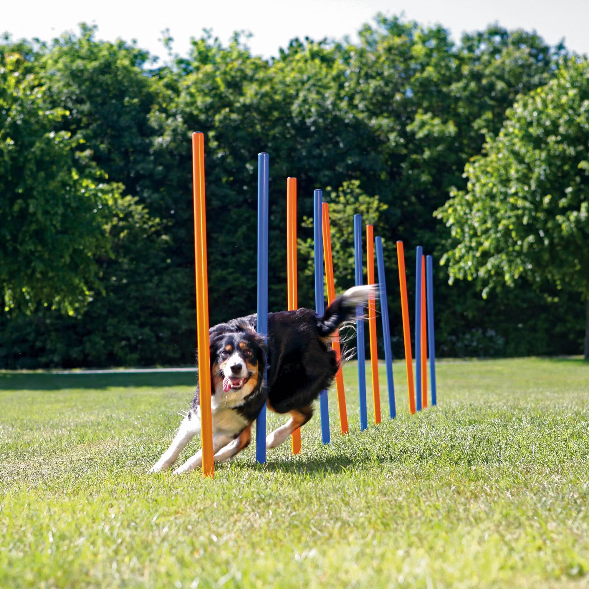 Trixie Jucarie Agility 115x3 cm 12 buc 3206