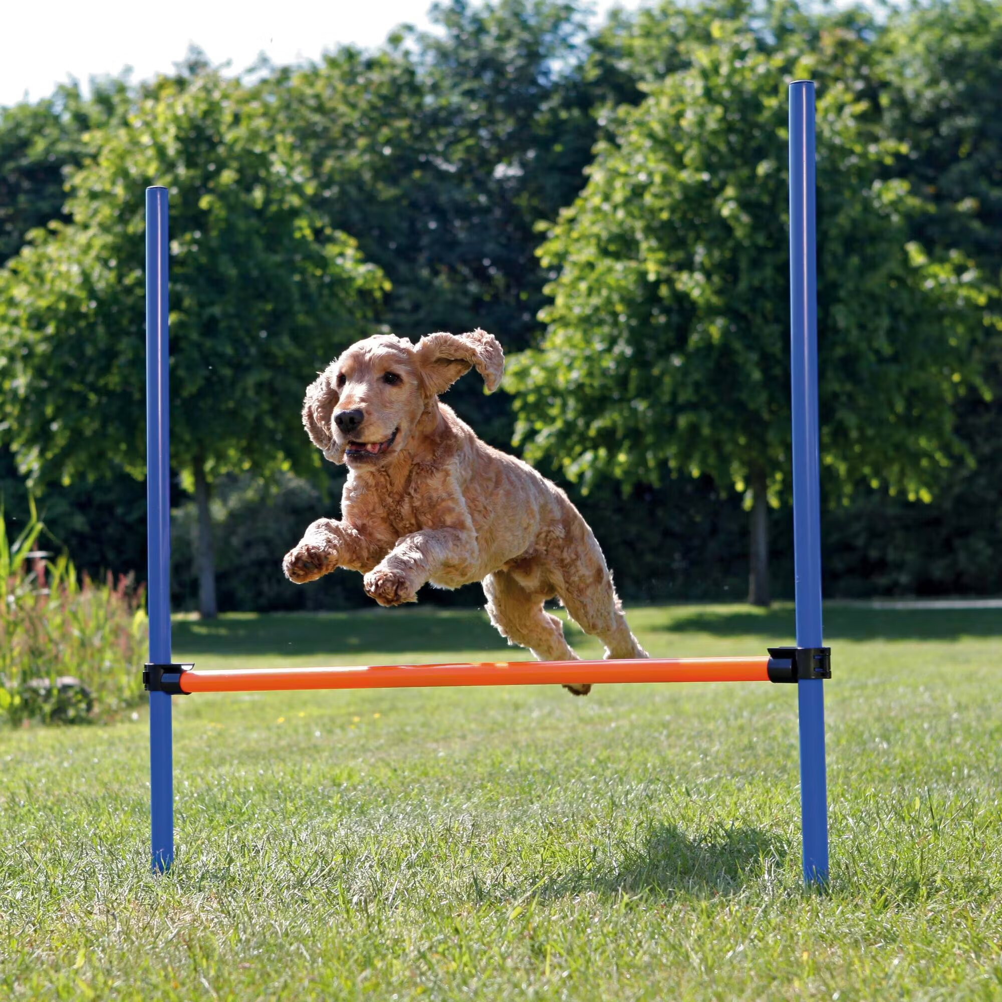 Trixie Jucarie Agility Obstacol Fier 129x115x3 cm 3207