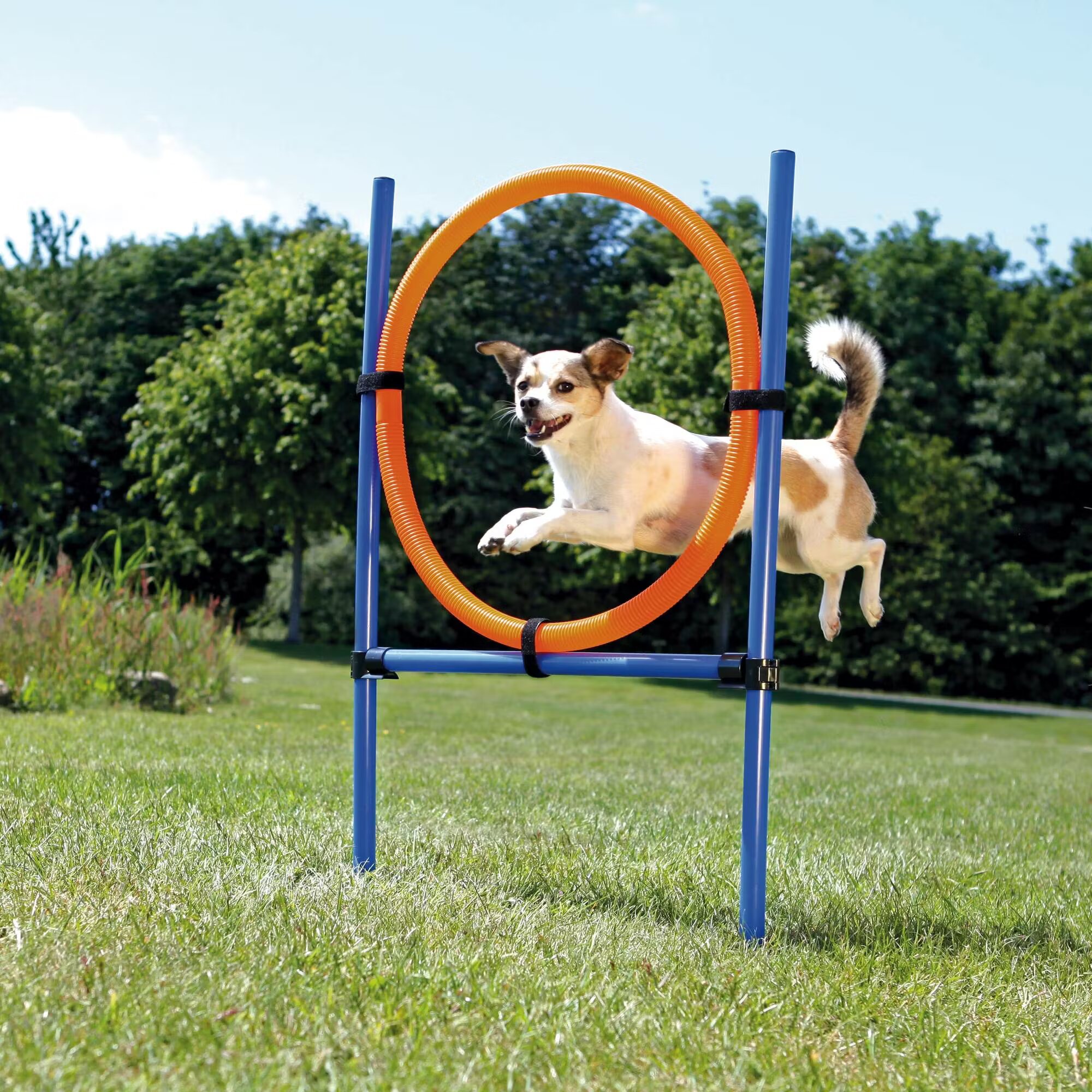 Trixie Jucarie Agility Ring 65 cm 3208