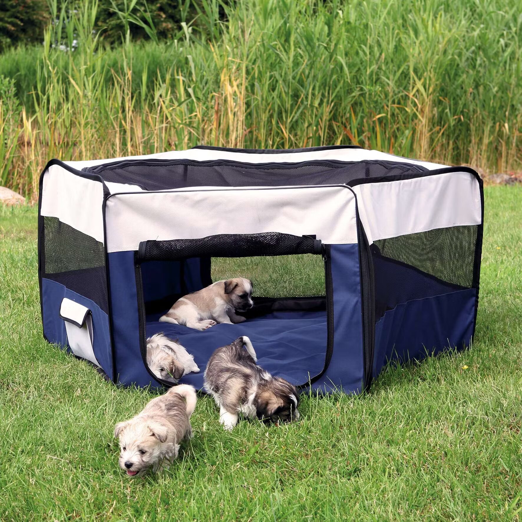 Trixie Tarc Nylon 130x55 cm Albastru/Gri 64054