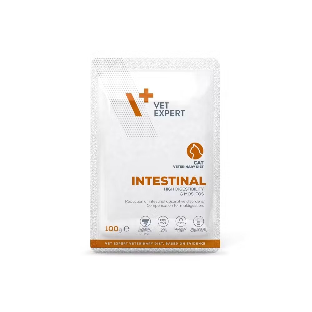 Vetexpert 4T Dieta Veterinara Pisici Intestinal Cat 100 g