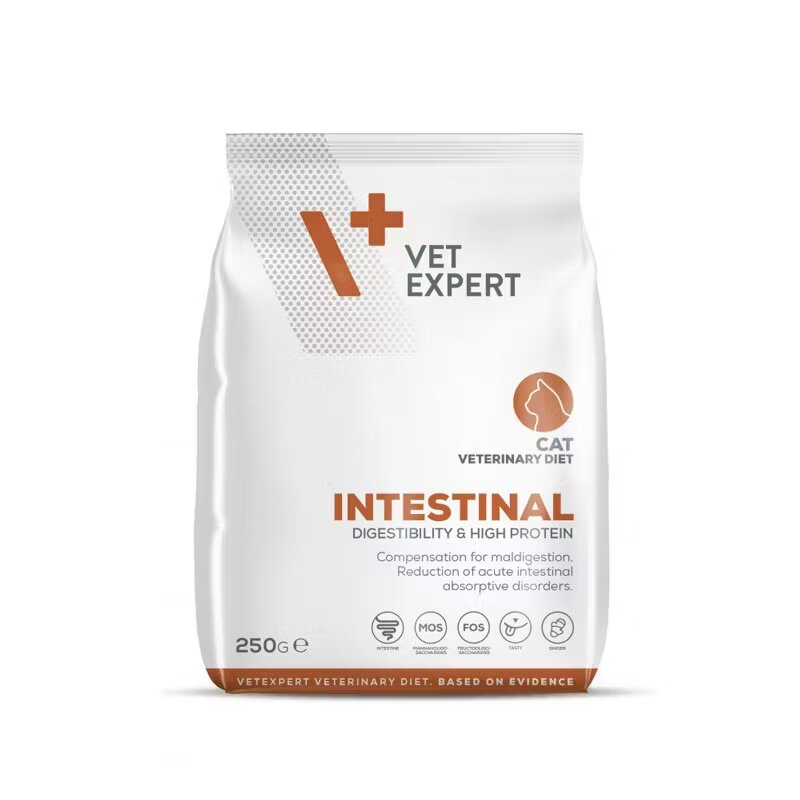 Vetexpert 4T Dieta Veterinara Pisici Intestinal Cat 250 g
