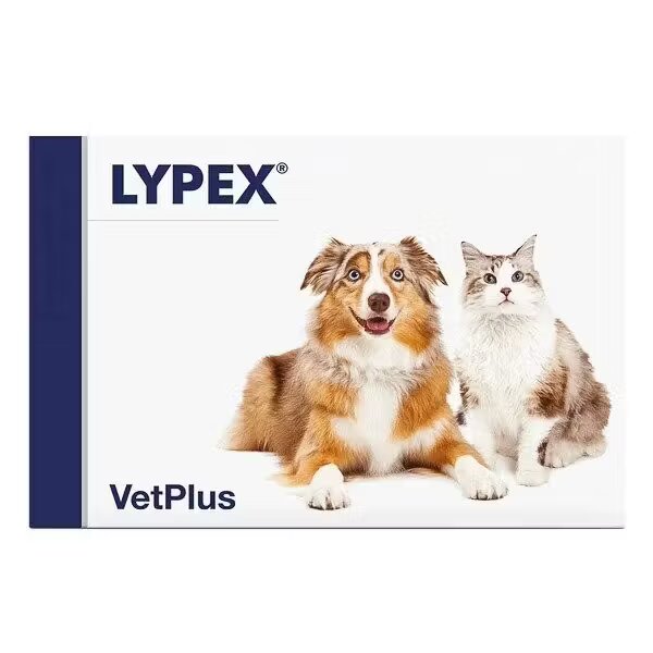 Vetplus Lypex 60 capsule