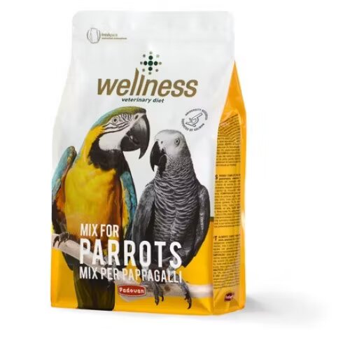 Wellness Hrana Papagali 750 g