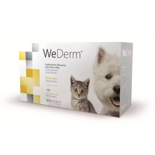 Wepharm WeDerm 60 capsule